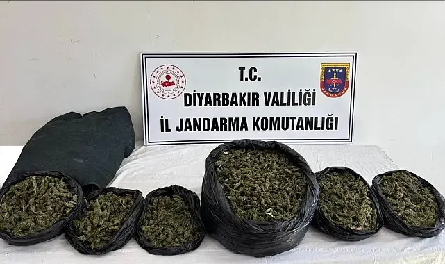 Diyarbakır'da 41 kilo esrar ele geçirildi, 18 şüpheliye işlem yapıldı