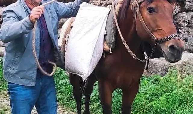 Erzurum'da acı olay: Psikolojik tedavi gören şahıs derede can verdi