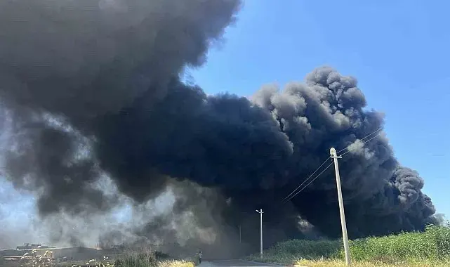 İzmir'de geri dönüşüm fabrikasında korkutan yangın