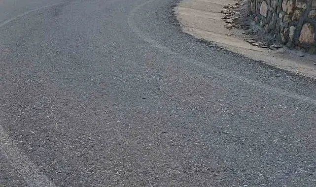 Siirt'te şarampole devrilen kamyonetteki 3 kişi yaralandı