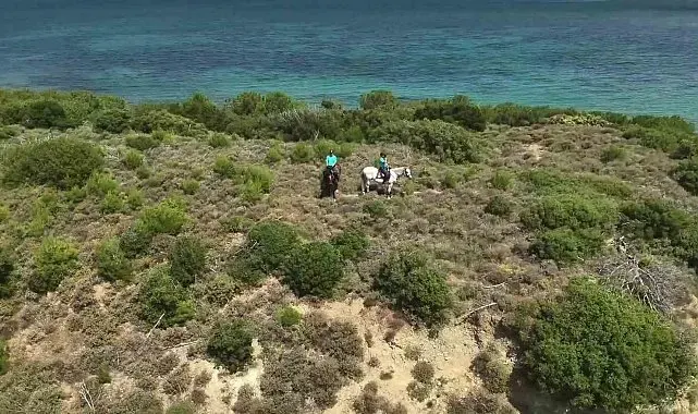 Çanakkale'de orman yangınlarına karşı ekipleri sahada