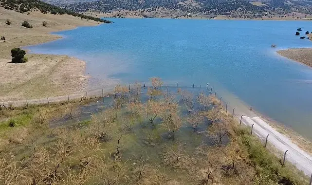 Yozgat'ta badem ağaçları sular altında kaldı