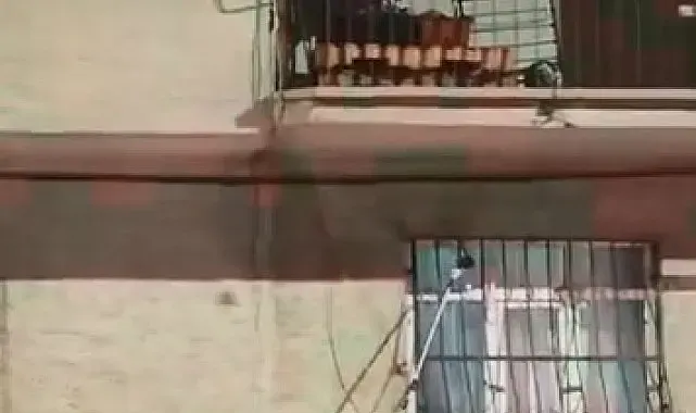Pencere korkuluğundaki yılan ekiplerce yakalandı