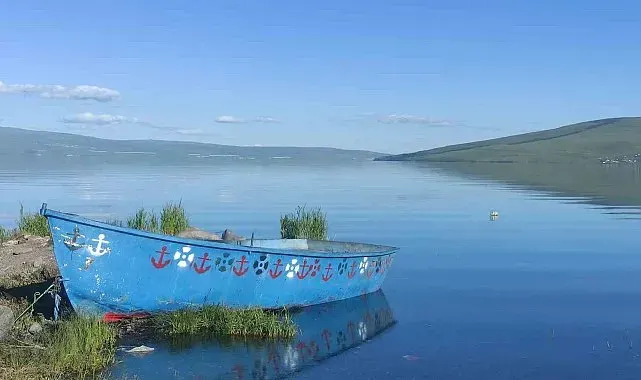 32 yılın rekoru: Çıldır Göl'ünde su seviyesi zirveye çıktı