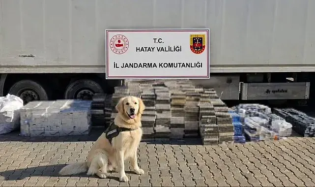 Eşya taşınan tır dorsesinden 3 bin karton kaçak sigara çıktı