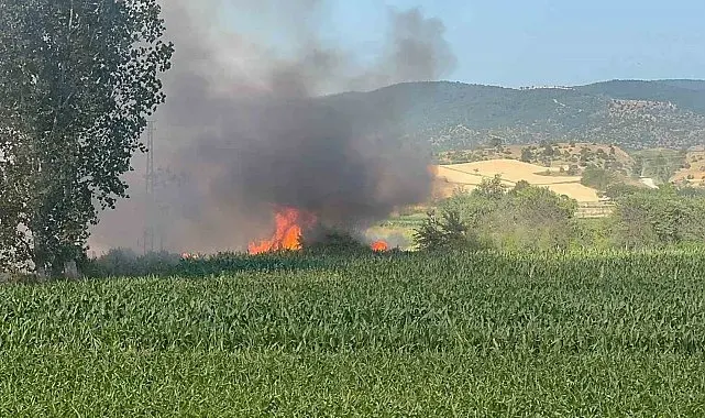 Kastamonu'da buğday tarlası alev alev yandı