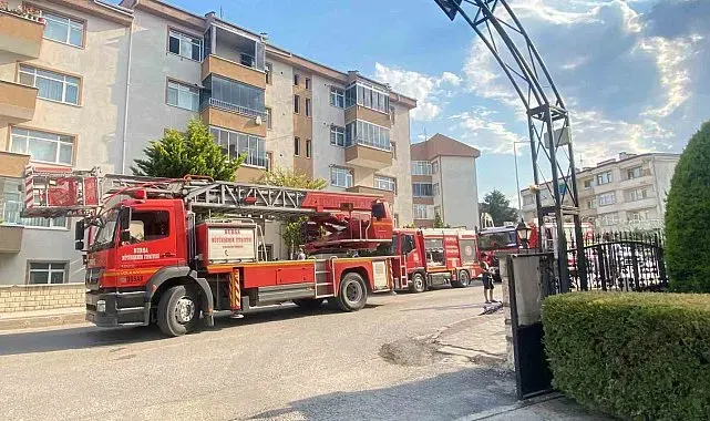 Yangında duygulandıran kurtarma: Anne kedi ve 2 yavrusu hayata döndürüldü