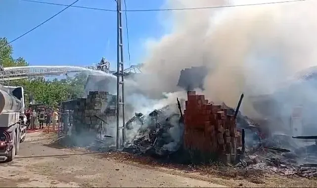 Bartın'da yangında bir ev ve ahır kül oldu