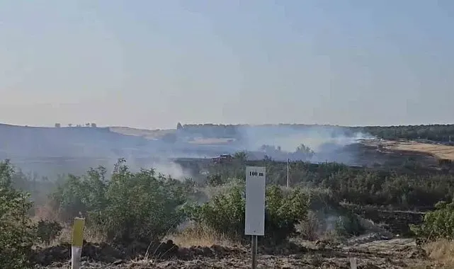 Merada çıkan yangın kontrol altına alındı