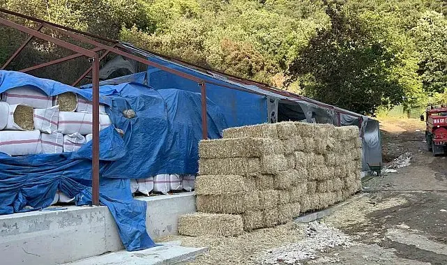 Bursa'da ormana sıçrayan yangın kontrol altına alındı