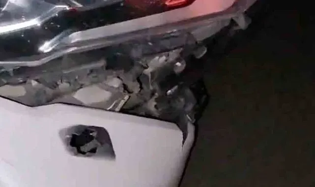 Elazığ'da otomobil domuz sürüsüne çarptı