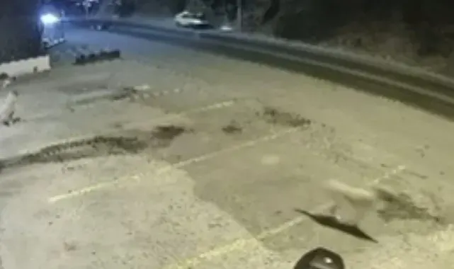 Bodrum'daki ölümlü kazanın güvenlik kamerası ortaya çıktı