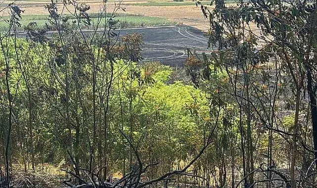 Lüleburgaz'da otluk alan yangını tarım arazisine sıçradı