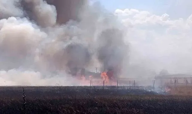 Tekirdağ'da tarım arazisinde iki noktada yangın