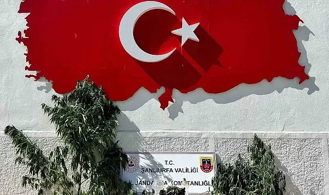 Hilvan'da uyuşturucu operasyonu: 1 gözaltı