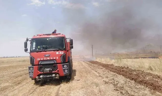 Mardin'de anız yangını söndürüldü
