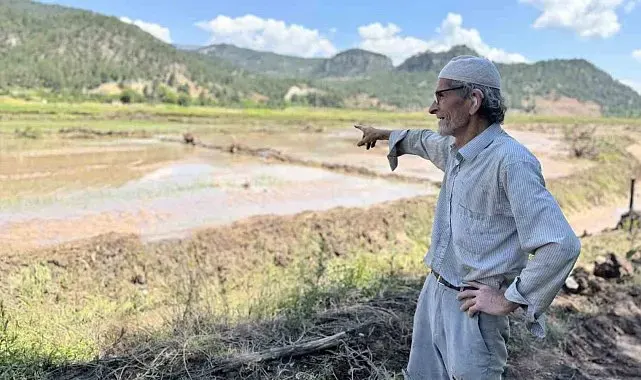 Karabük'te yaka seli çeltik tarlalarını vurdu