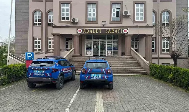 Eve kurduğu sistemle kenevir yetiştiren 2 şüpheli yakalandı