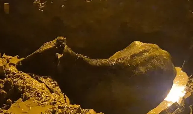 İnek belediyenin kazdığı çukura düştü