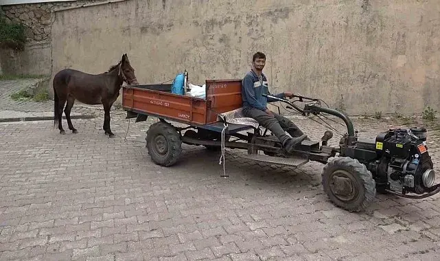 Çok sevdiği katırını peşinden hiç ayırmıyor