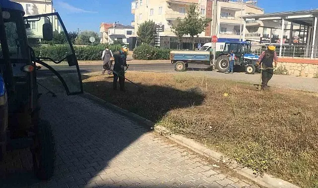 Didim Belediyesi yeşil alanlarda bakım çalışmalarını sürdürüyor