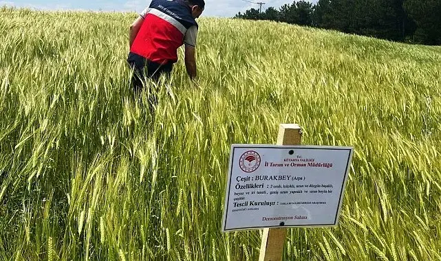 Simav'da arpa demonstrasyonlarında kontroller sürüyor