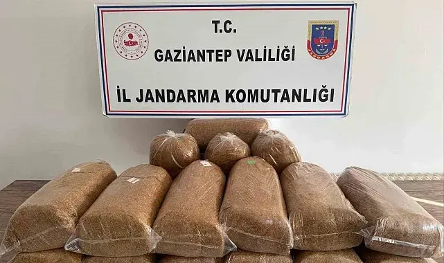 Gaziantep'te 353 aranan şahıs yakalandı