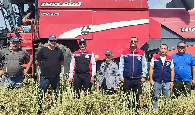 Söke'de kanola hasadı gerçekleştirildi