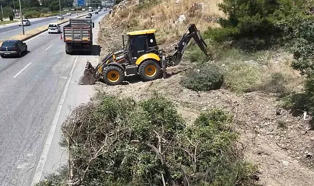 Aydın Orman İşletme'den yangınlara karşı yol kenarı temizliği