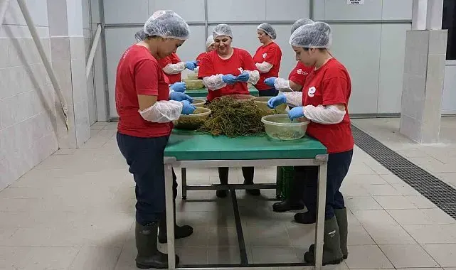 Tarımsal Ürün Fabrikası ile kadınlar üretiyor Efeler kazanıyor