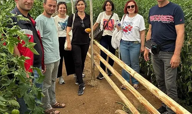 Simav'daki seracılara domates hastalıkları ve zararlıları eğitimi