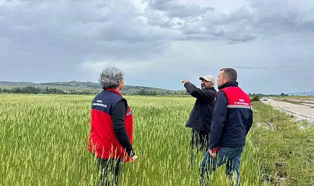 Tarım arazileriyle ilgili süreç yakından takip ediliyor