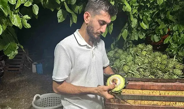 Ailecek enginar soyucular: Soyması 10 saniye sürüyor