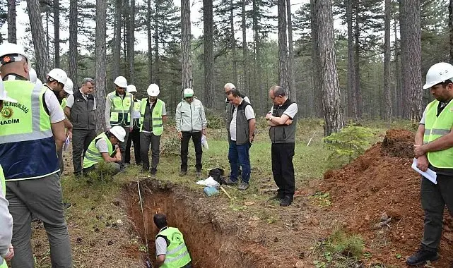 Beyşehir ormanlarında geleceğe yatırım