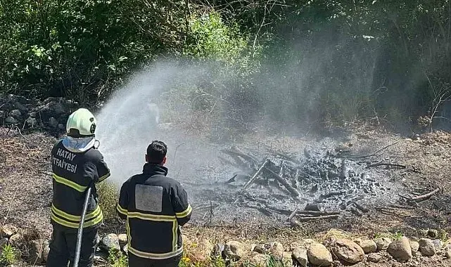 Antakya'da zeytinlik alan yangını