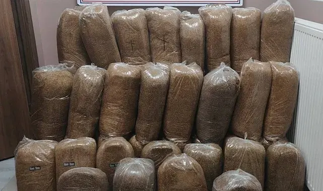 Yolcu otobüsünde 510 kilo kaçak tütün bulundu