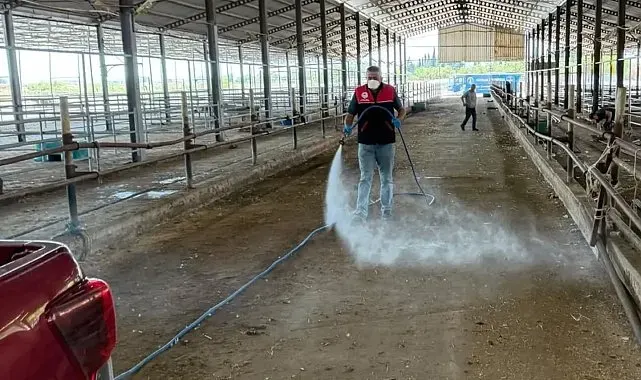 Havran'da kurban bayramı sonrası biyogüvenlik önlemi