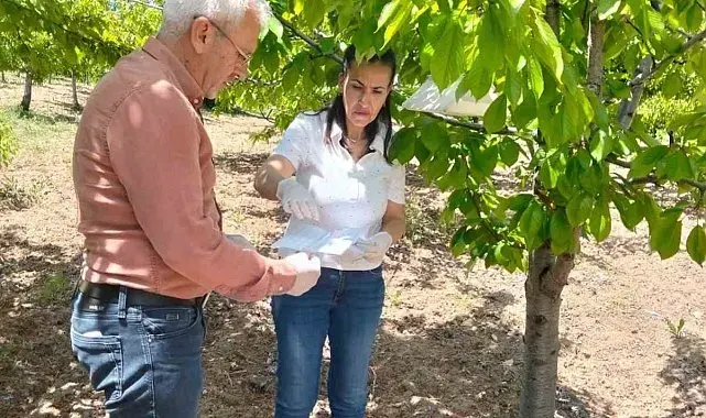 Elazığ'da meyve bahçelerinde takip çalışması