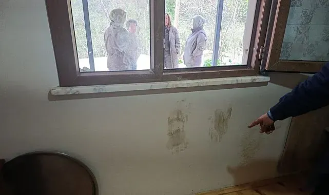 Giresun'da ayı alarmı