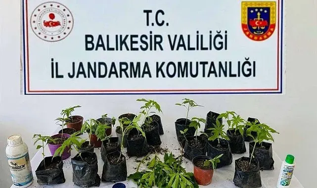 Balıkesir'de uyuşturucu operasyonlarında 64 şüpheli yakalandı