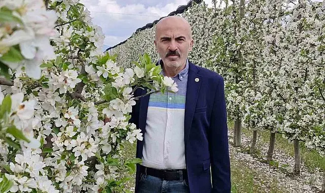 Karaman'da 16 milyon elma ağacı çiçek açarak gelinliğini giydi
