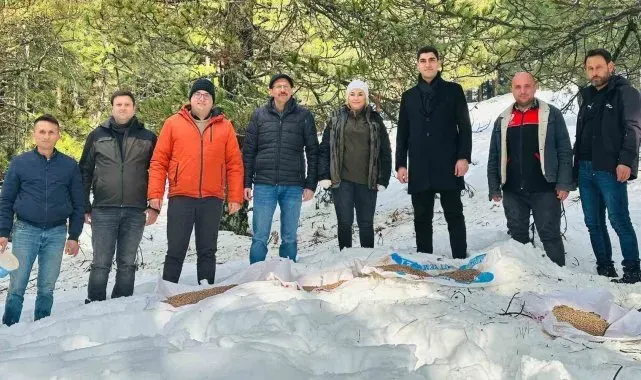 Balıkesir'de yaban hayvanları unutulmadı