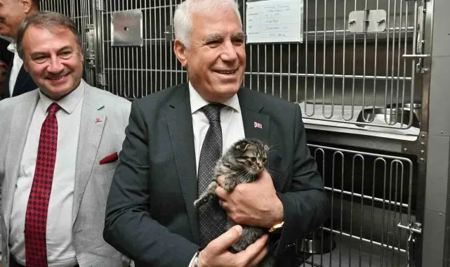 Bursa Büyükşehir'den can dostlara şefkat