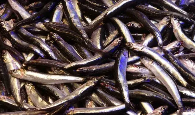 Kendisi küçük ama şöhreti büyük