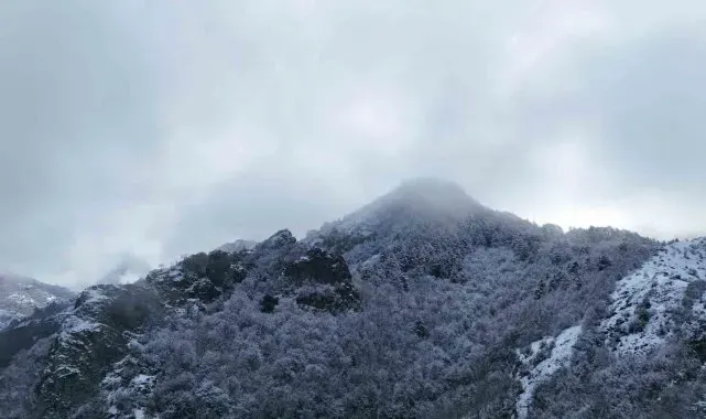 Ilgaz Dağı'nın eteklerinde buluşan kar ve sis mest etti