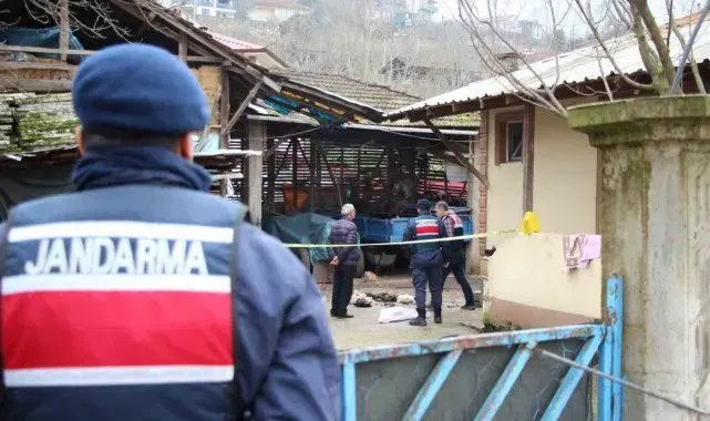 Horozlarının komşuya verildiğini duyunca dehşet saçmıştı, serbest kaldı