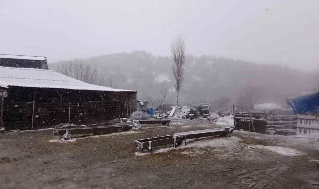 Kar, Balkanlar'dan Edirne'ye giriş yaptı: Sınır köyler beyaza büründü