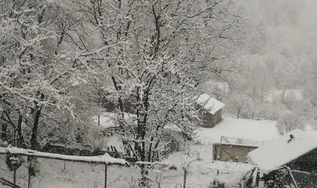 Kastamonu'da kar yağışı etkili oldu