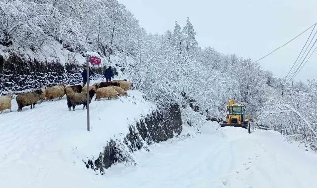 Doğu Karadeniz'de kış