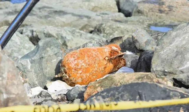 Fırtında dalgaların getirdiği deniz mühimmatı Rize'de karaya vurdu